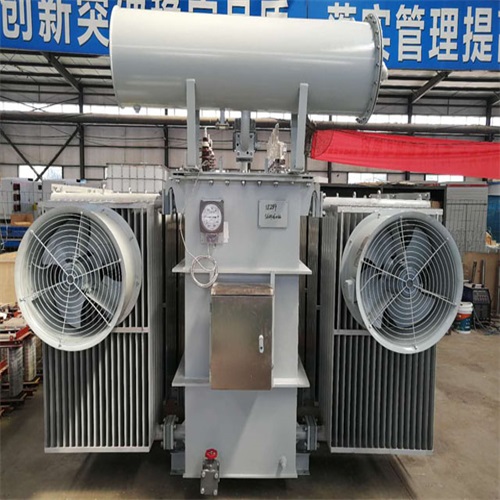 周口S22-6300KVA非晶合金变压器